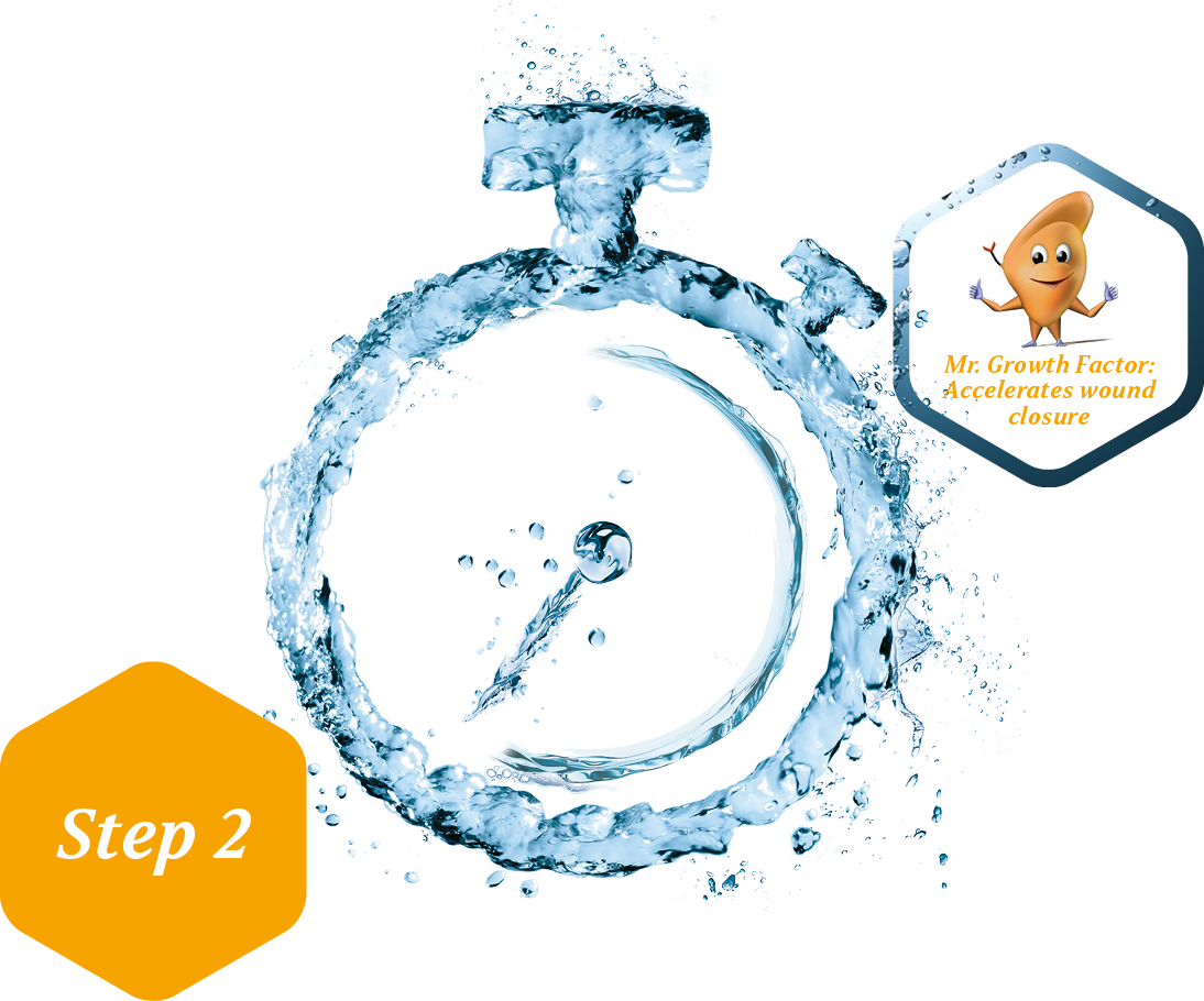 Illustration representing the mechanism of HydroTac®