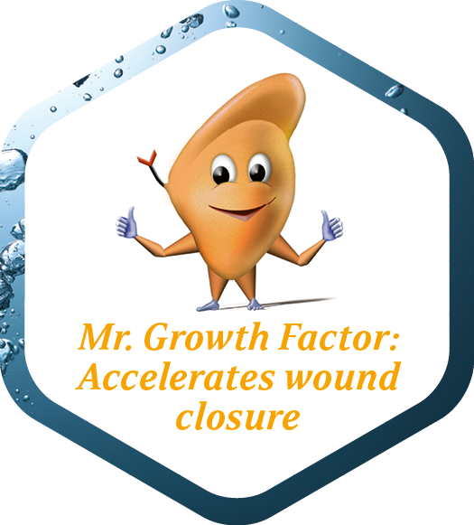 Icon representing accelerated wound closure