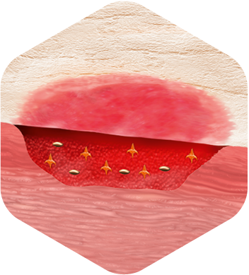 Illustration showing growth factors