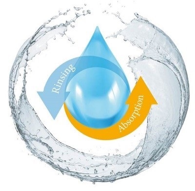 Rinsing Absorption